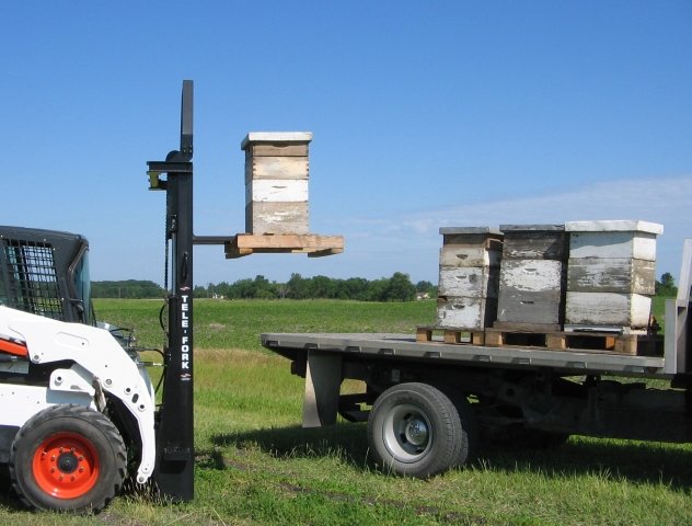 Tele-Fork loading bees.